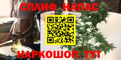 прущие грибы Тверь